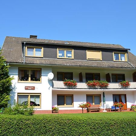 Fewo Wilke Willingen  Kültér fotó