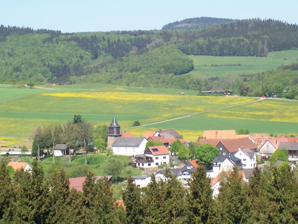 Fewo Wilke Willingen  Kültér fotó
